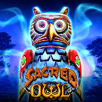 Sacred Owl
